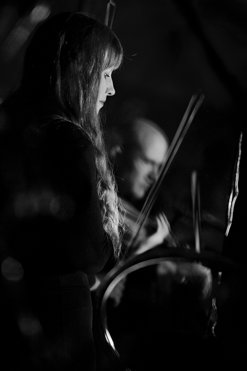 DSC_6355.jpg