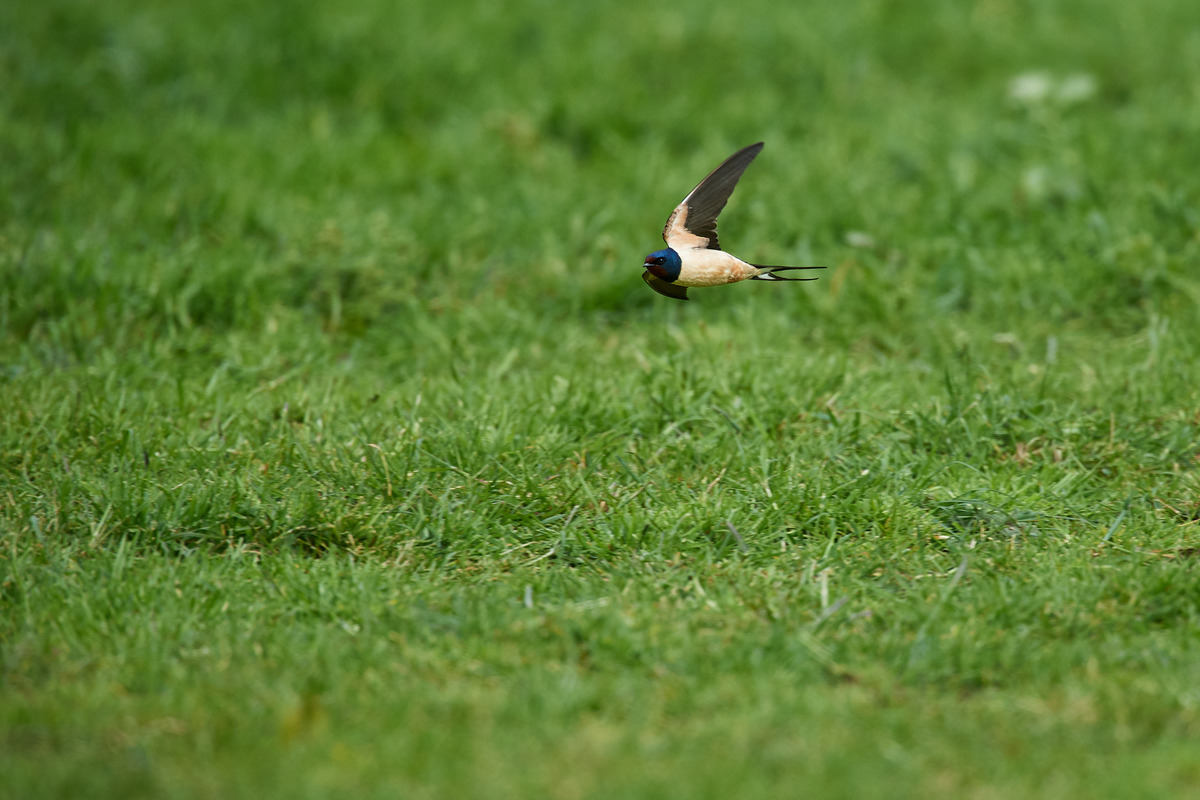 DSC_6373 1.jpg
