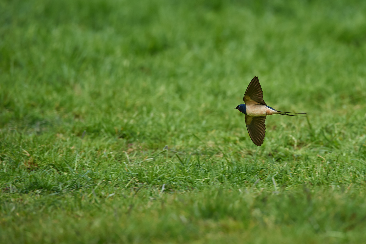 DSC_6381.jpg