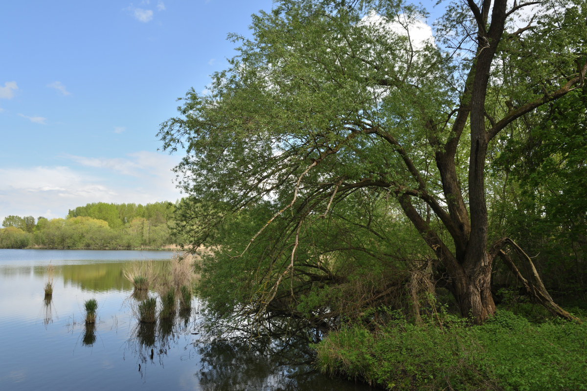 DSC_6388.JPG