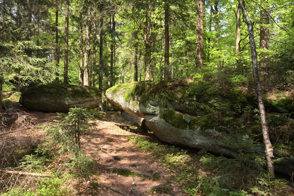 DSC_6389.JPG