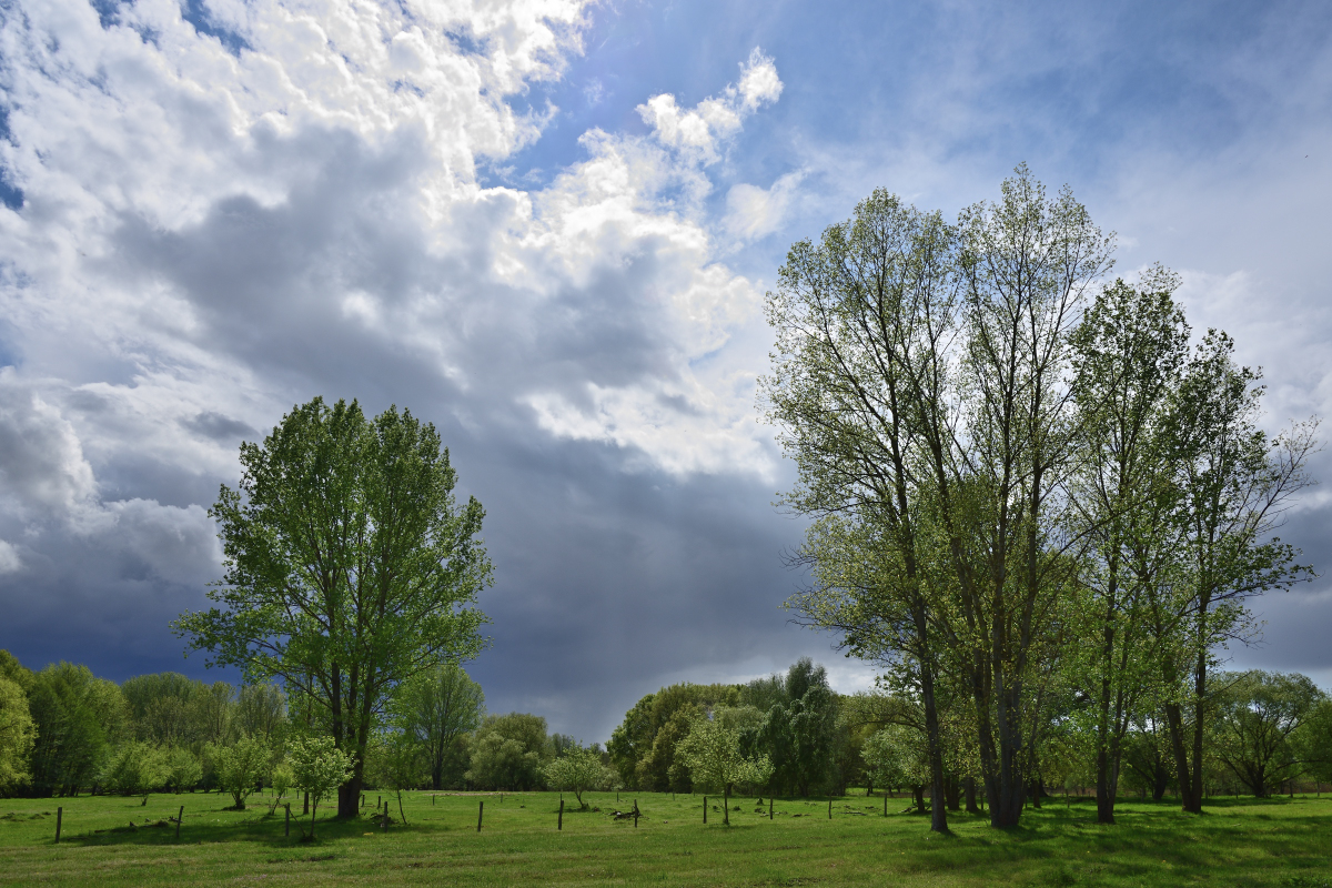 DSC_6405.JPG