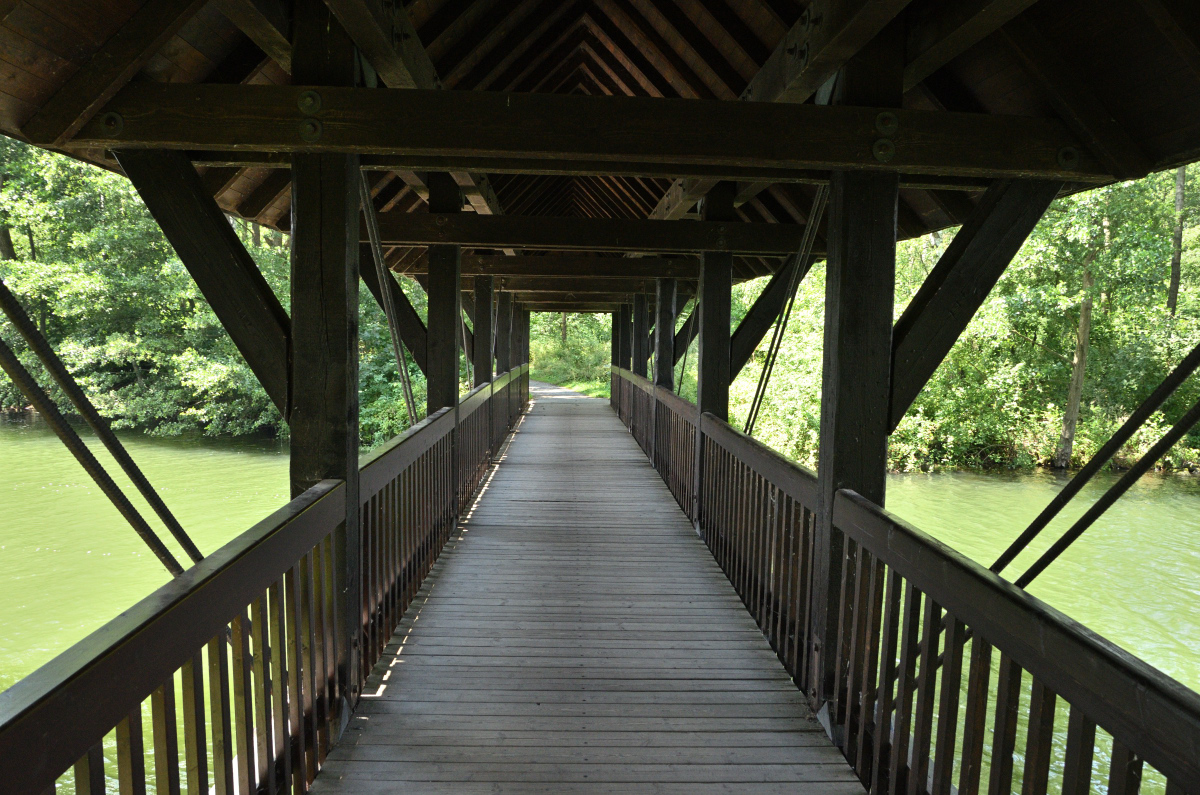 DSC_6420.JPG