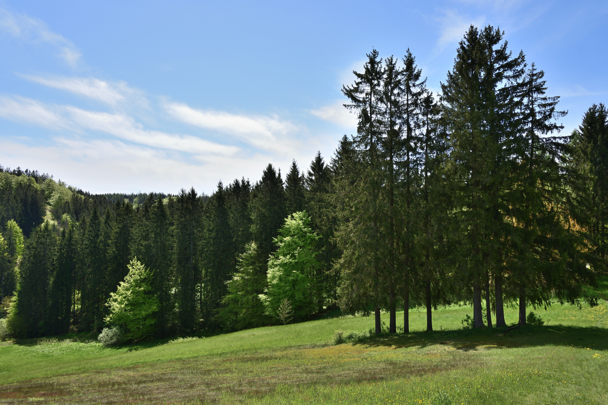 DSC_6439.JPG