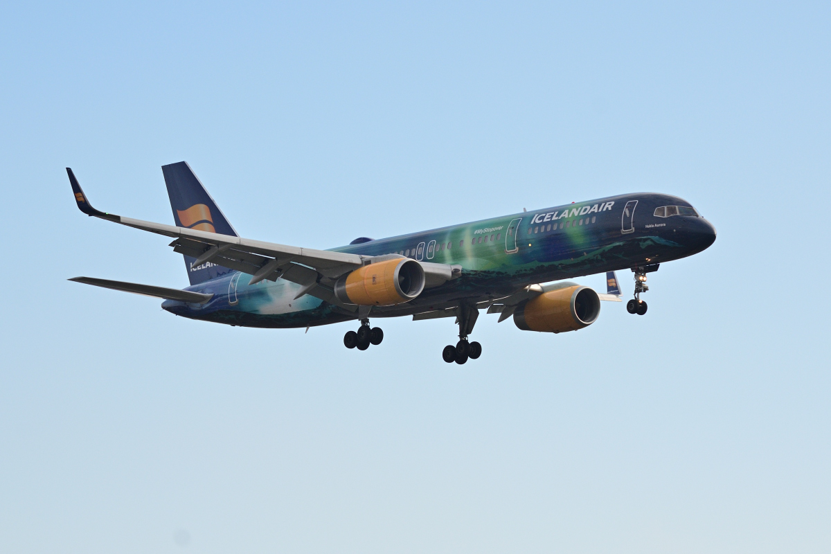 DSC_6459.JPG