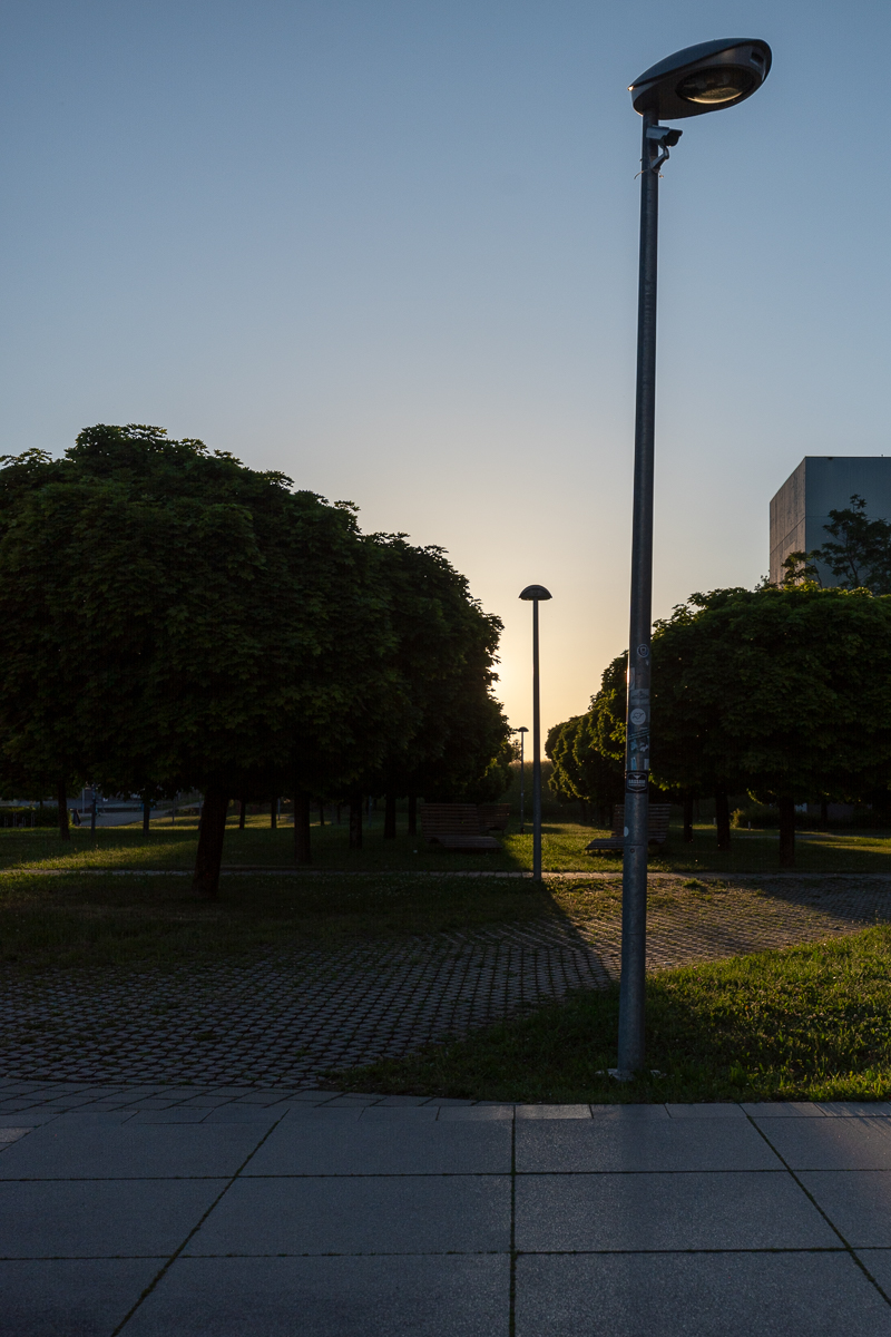 DSC_6465.jpg