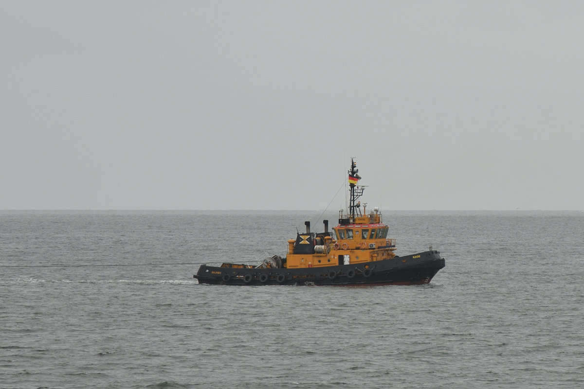 DSC_6511.JPG