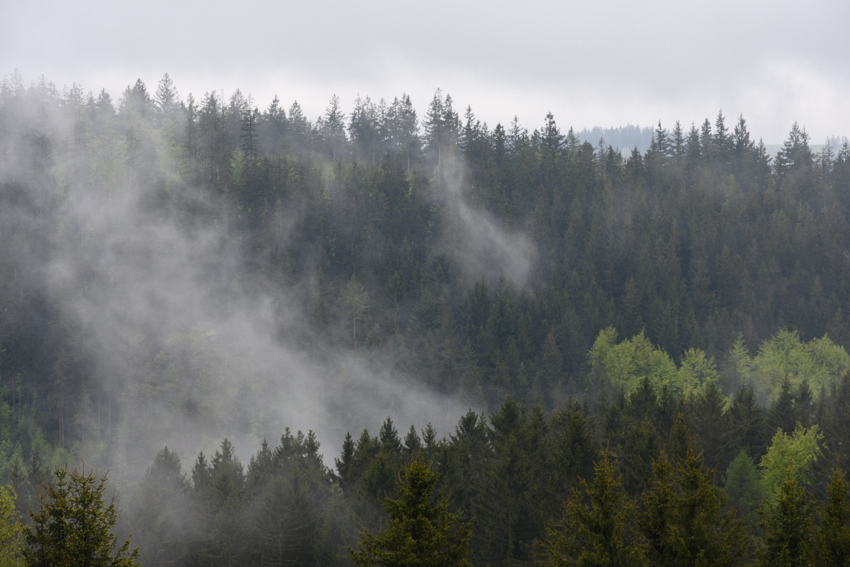 DSC_6514.JPG