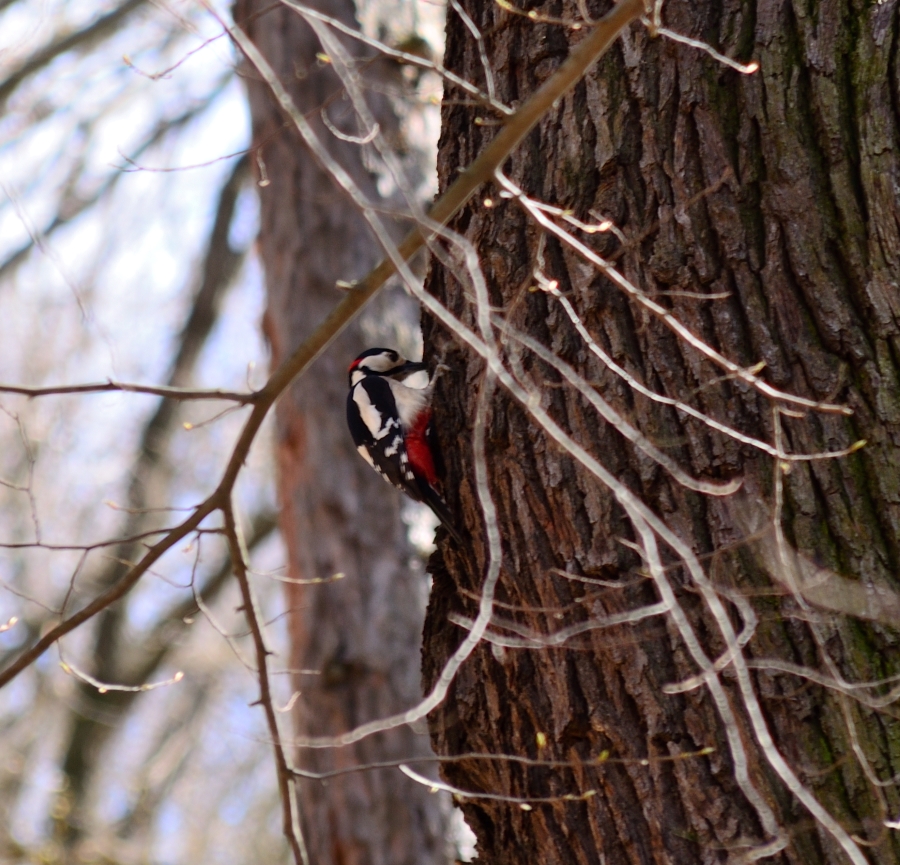 DSC_6548_00001n.jpg