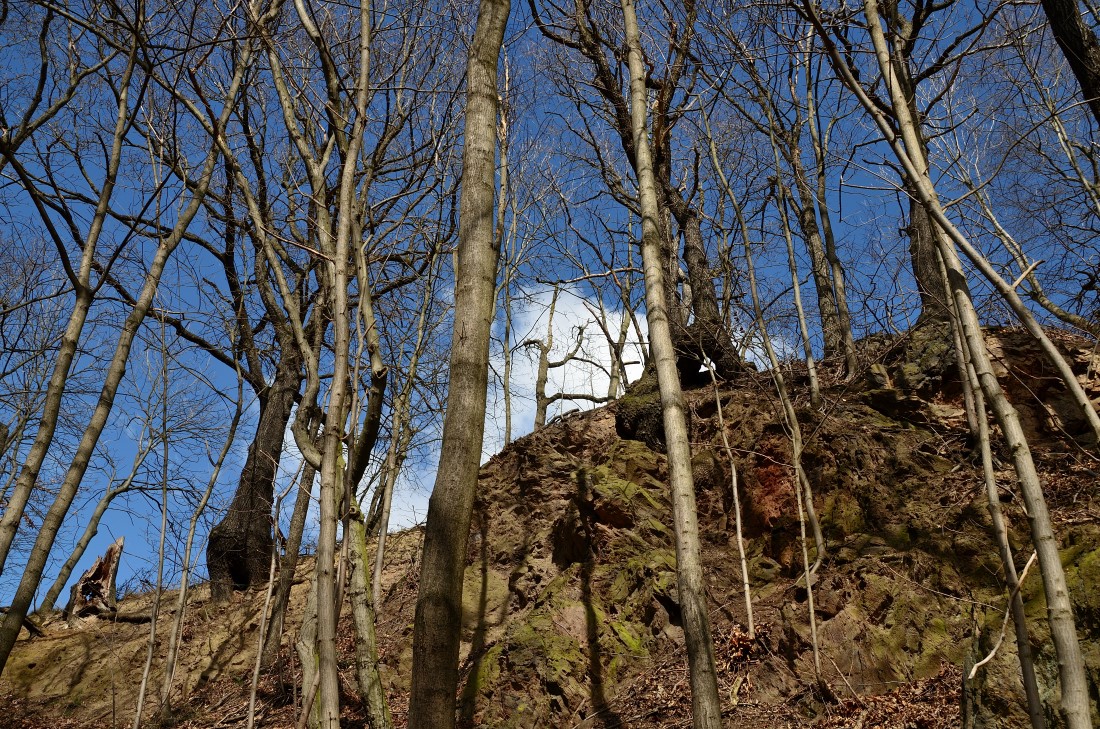 DSC_6552_00001n.jpg