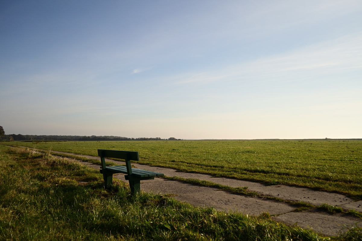 DSC_6567.JPG