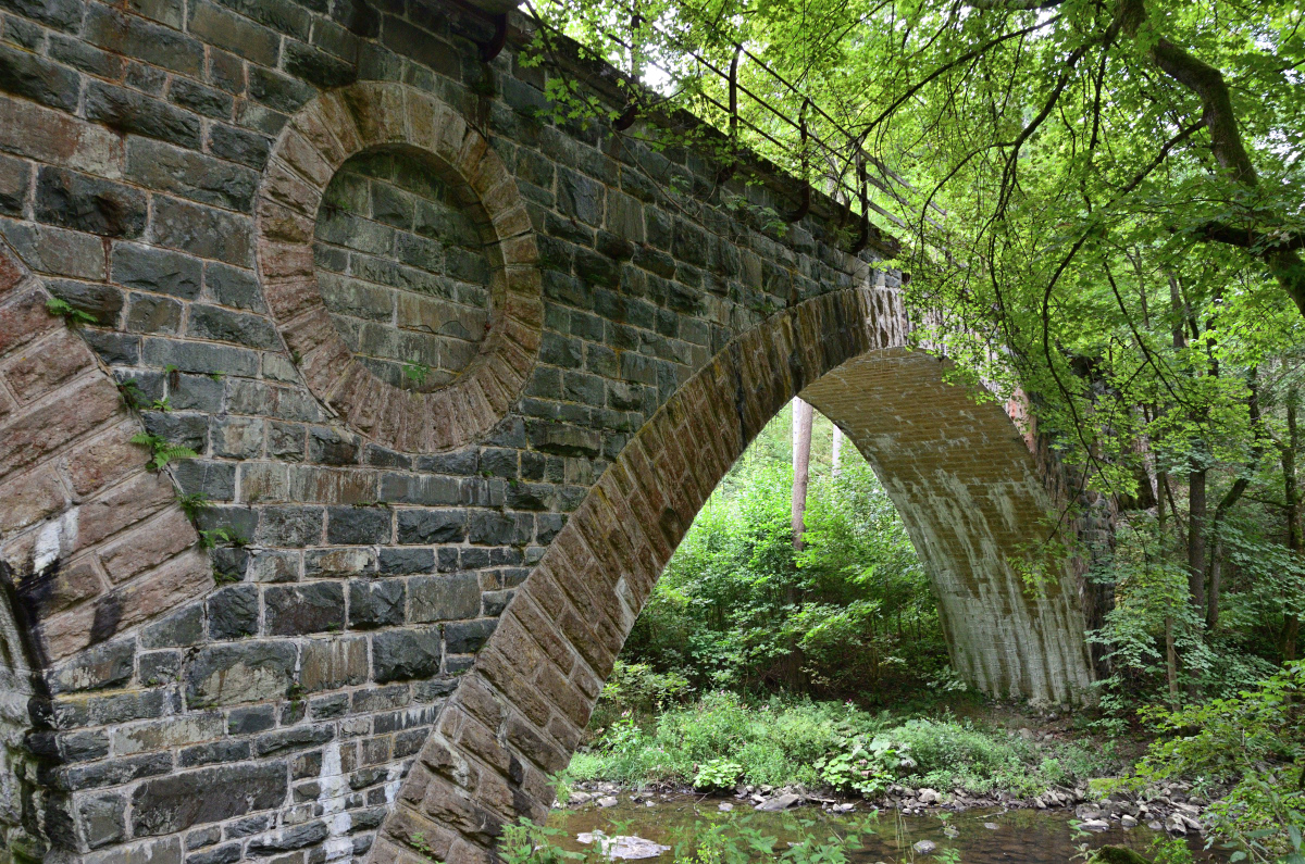 DSC_6569.JPG