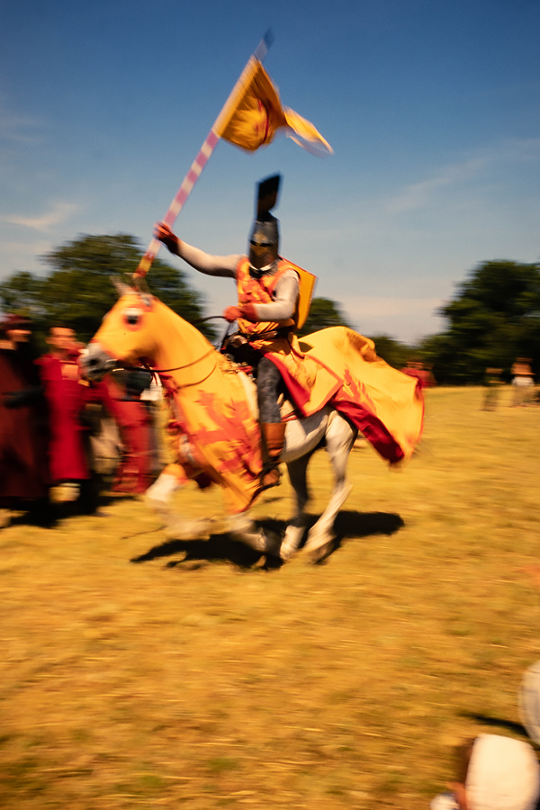 DSC_6600.jpg