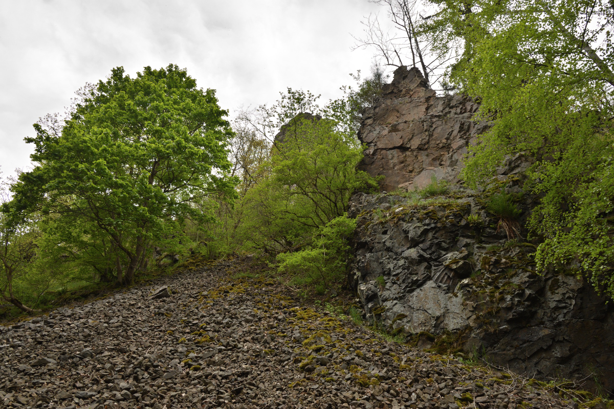 DSC_6606.JPG