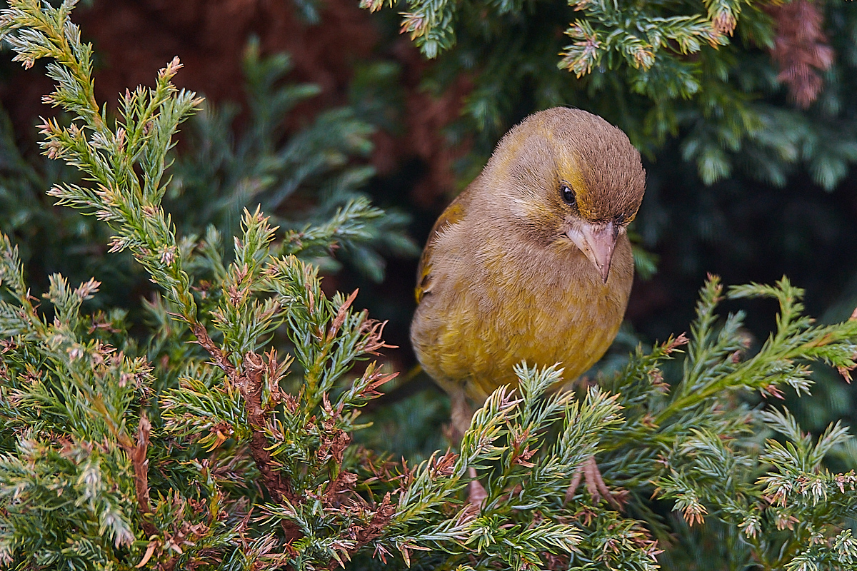 DSC_6614_sm 1.jpg
