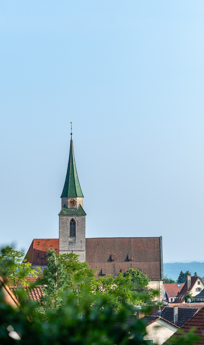 DSC_6618.jpg