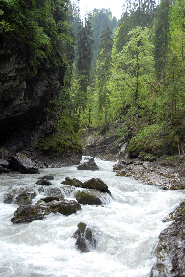 DSC_6672.jpg