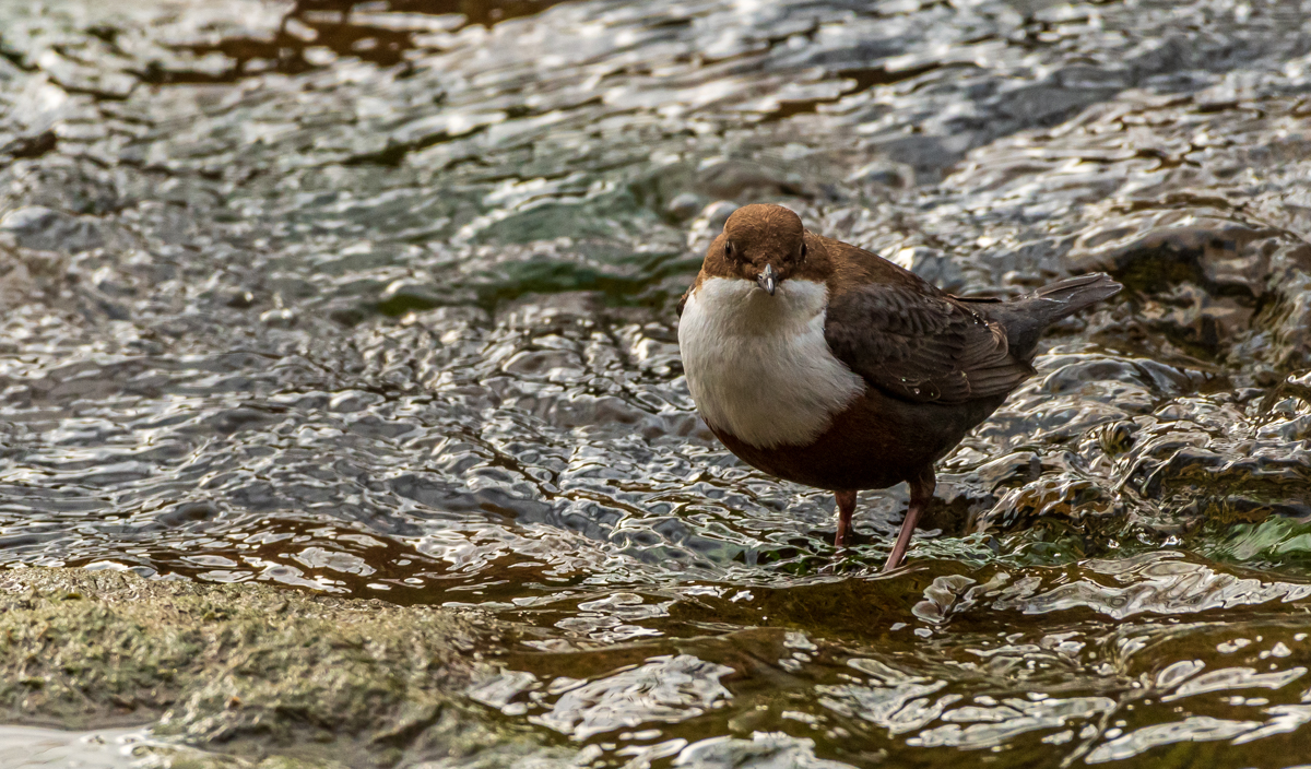 DSC_6673.jpg