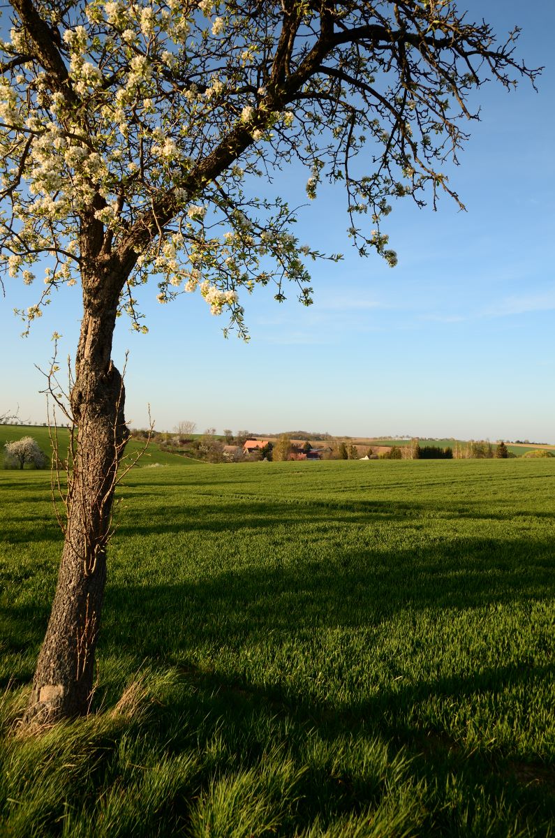 DSC_6677_00001n.jpg