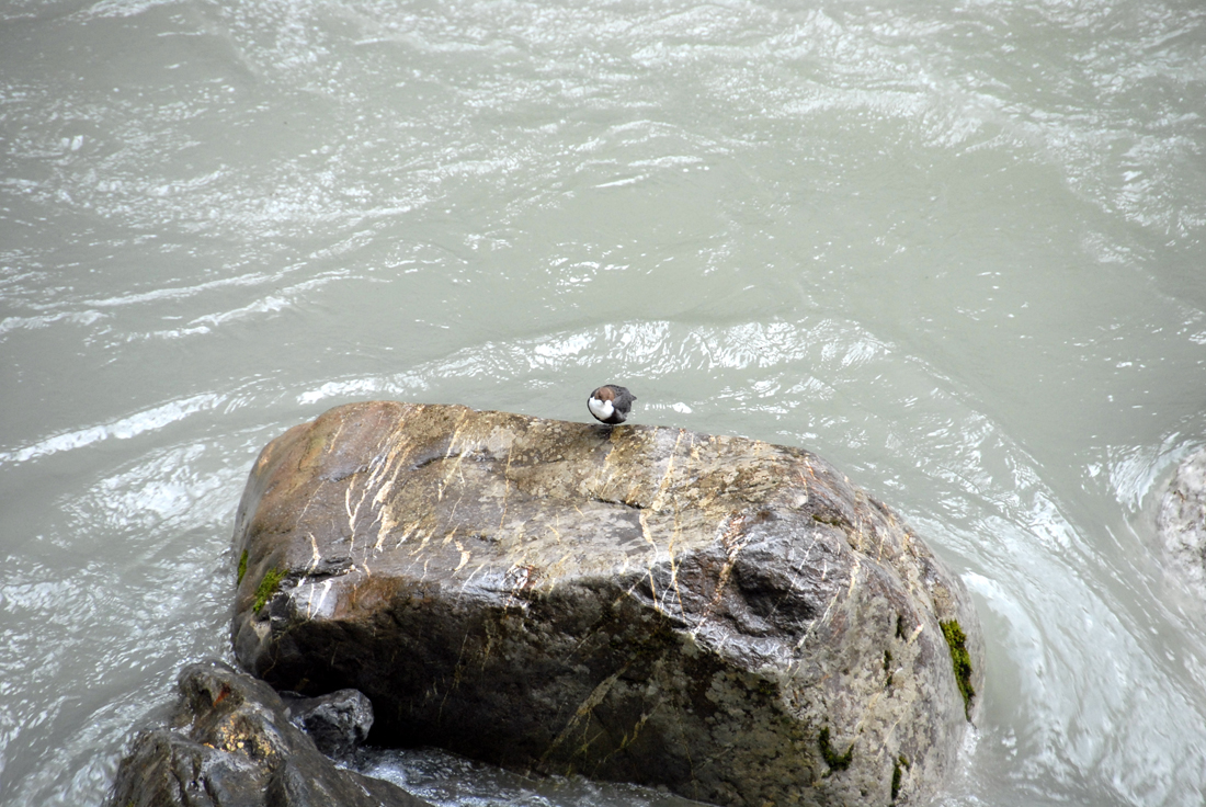 DSC_6679.jpg