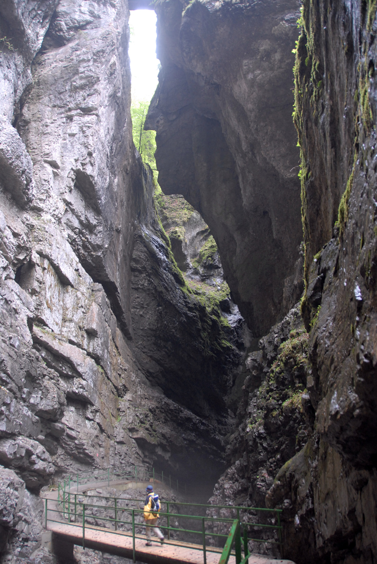 DSC_6687.jpg