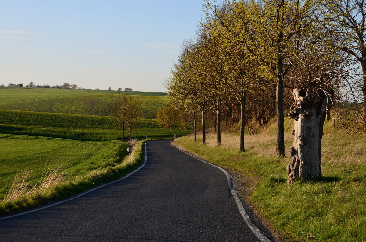 DSC_6697_00001n.jpg