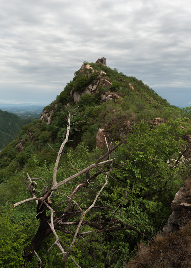 DSC_6734-Pano.jpg