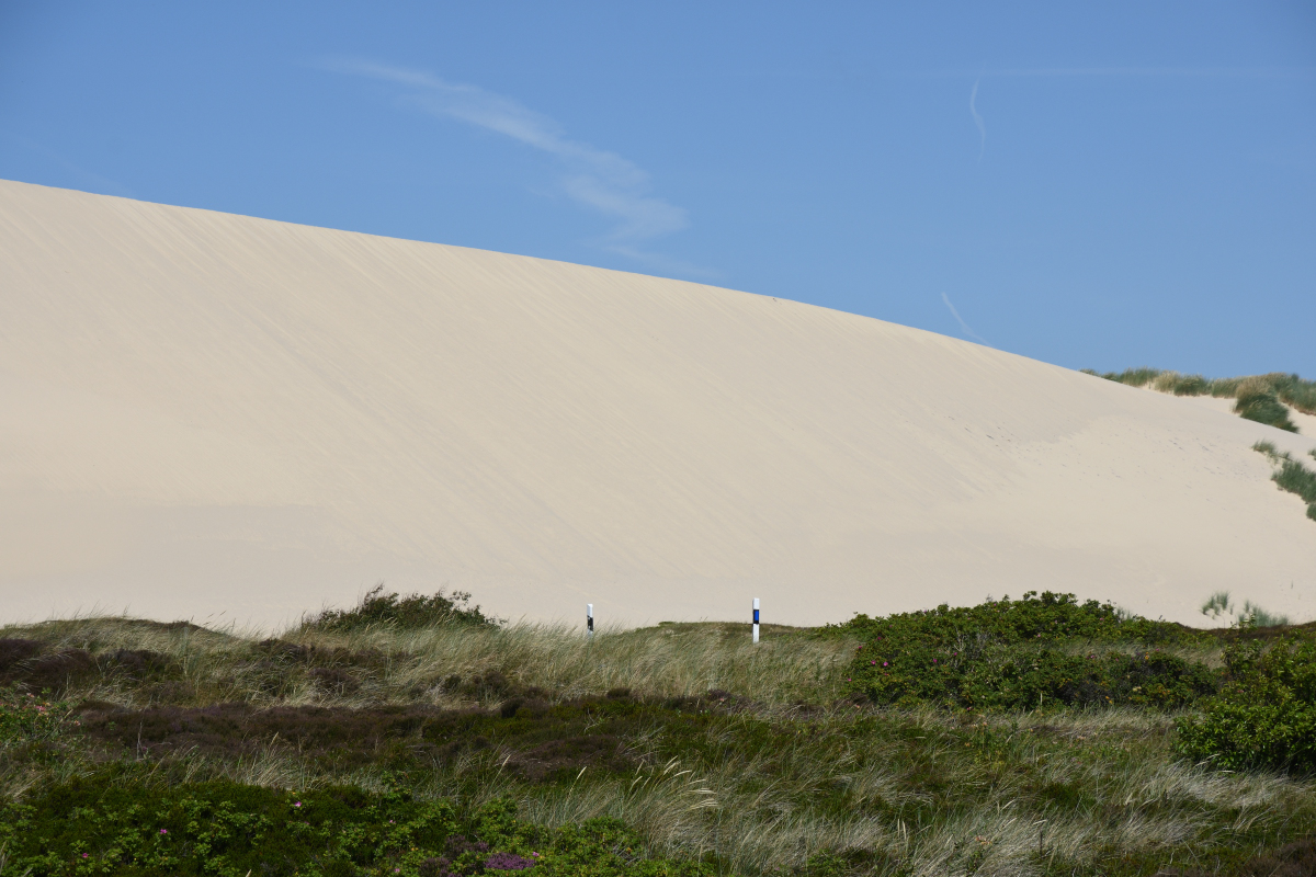 DSC_6761.JPG