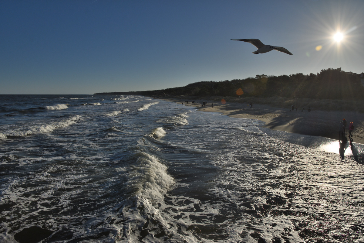 DSC_6814.JPG