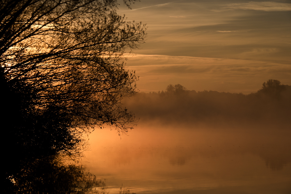 DSC_6821.jpg