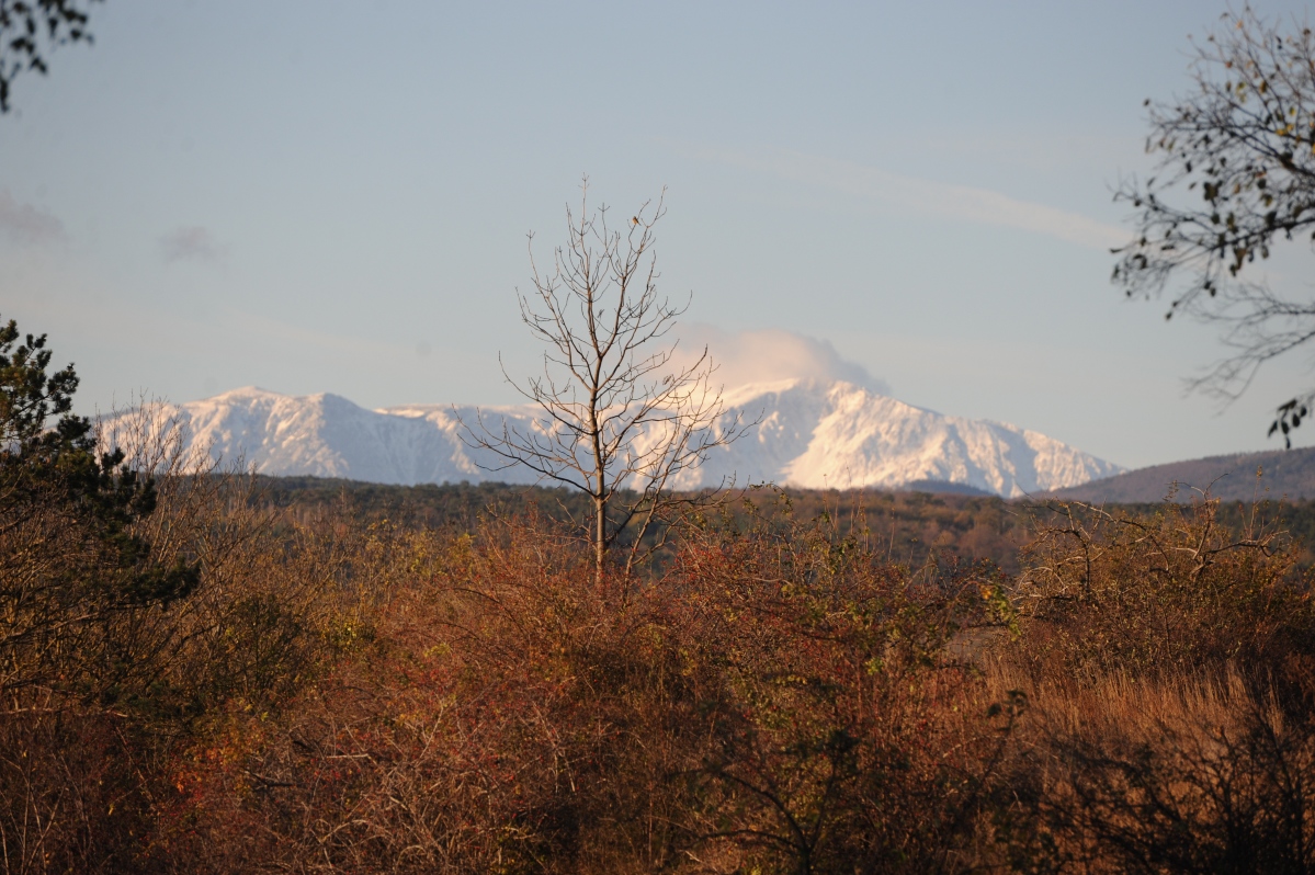DSC_6849jc.jpg