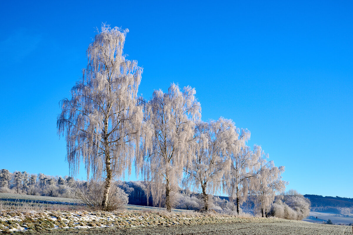 DSC_6911-2.jpg