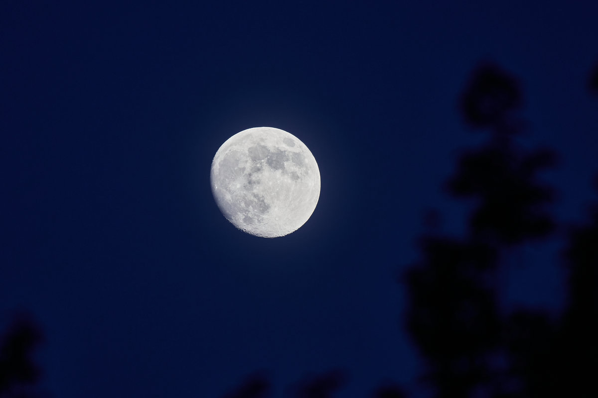 DSC_6936.jpg