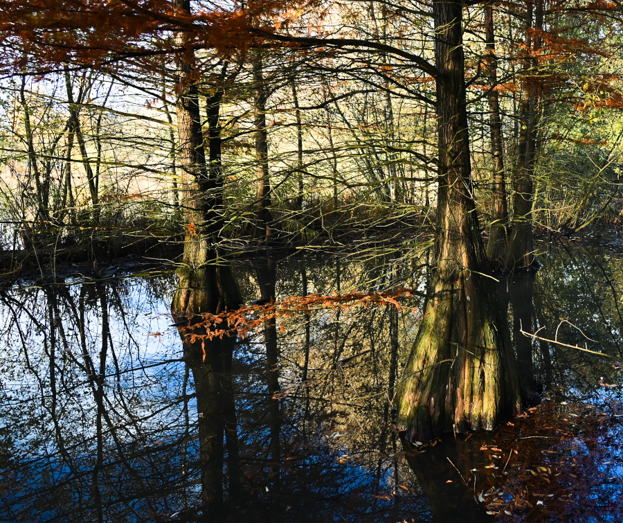 DSC_6949.jpg