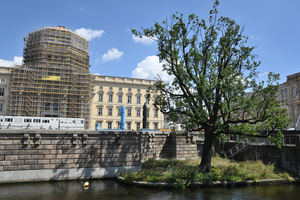 DSC_7067.JPG