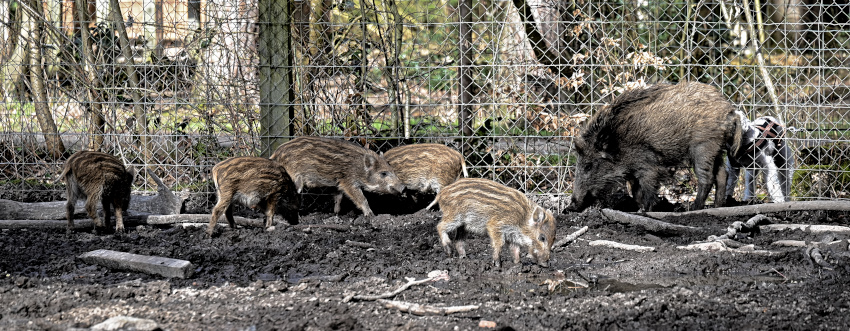DSC_7091.jpg