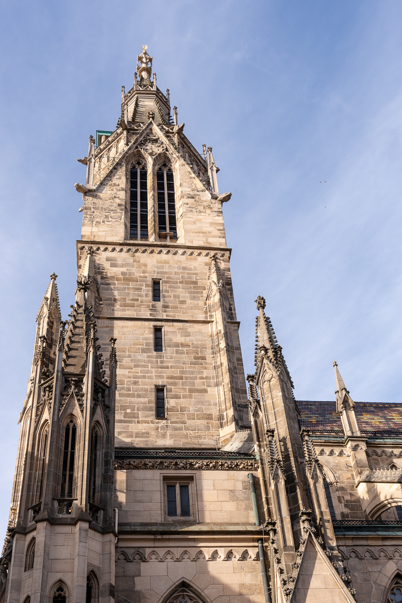 DSC_7113.jpg