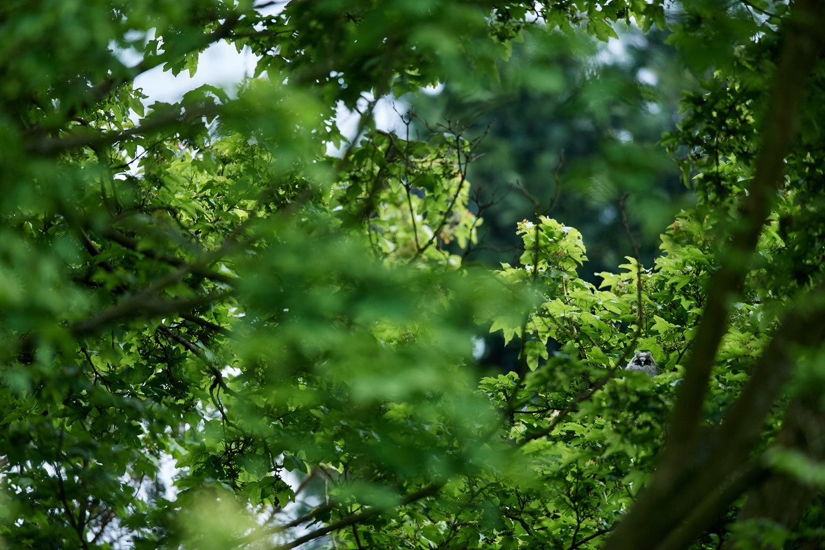 DSC_7170.jpg