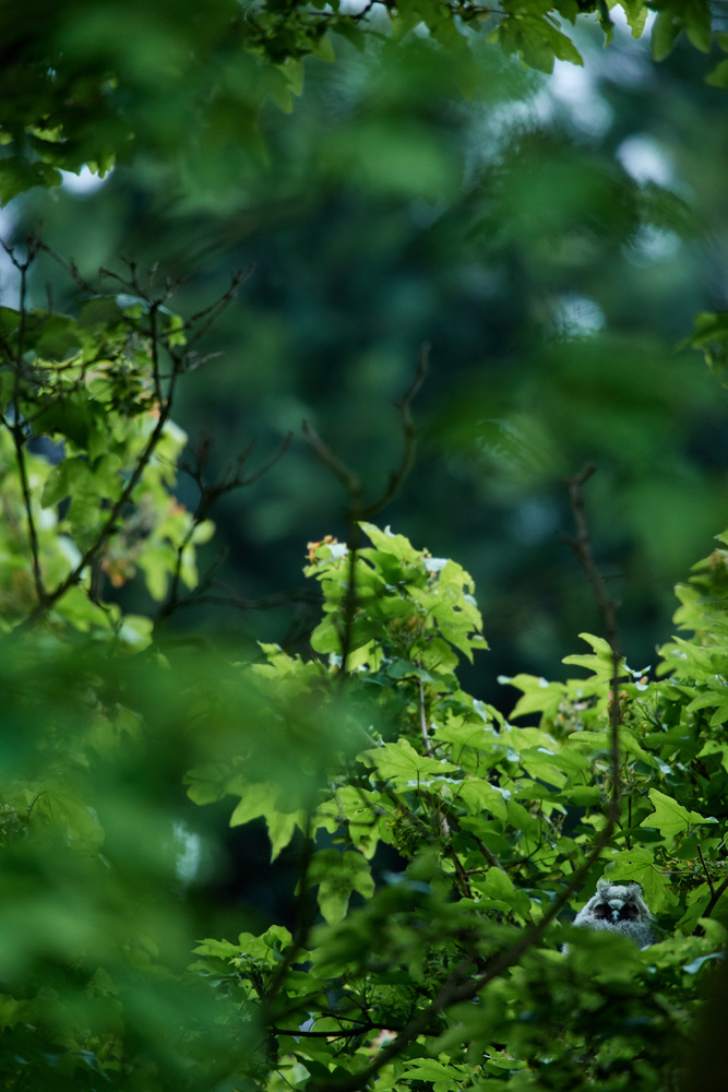 DSC_7176.jpg