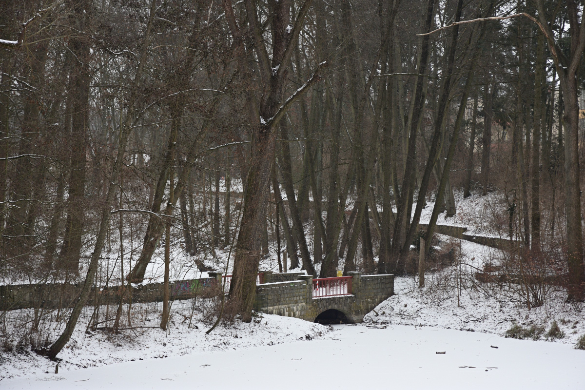 DSC_7199.JPG