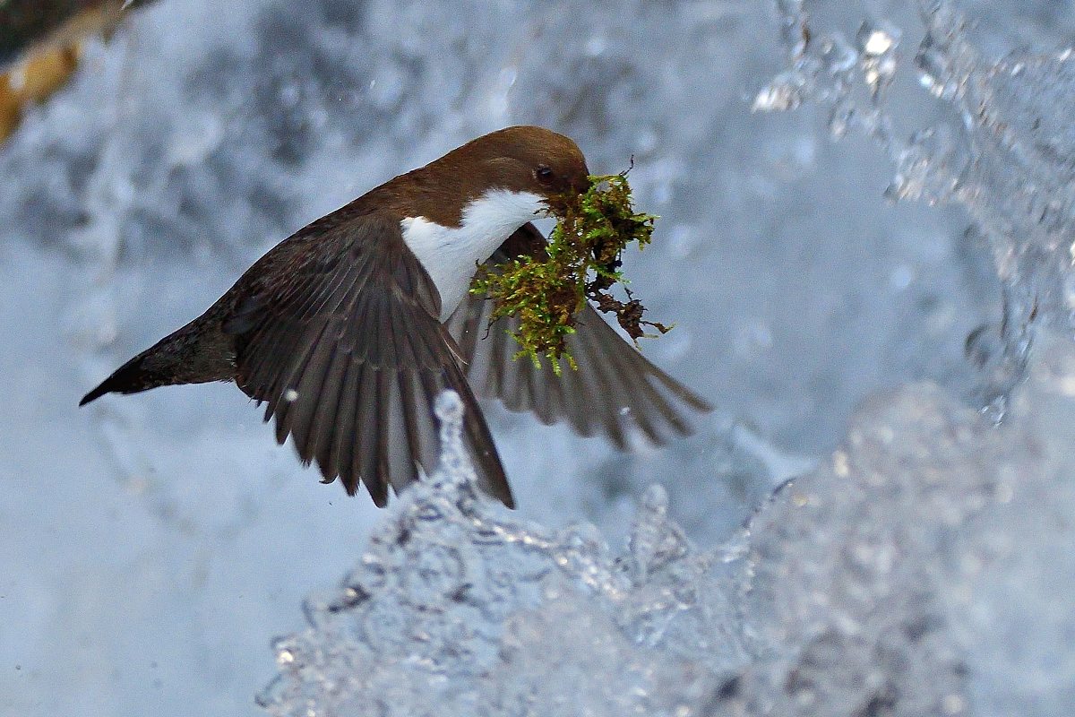 DSC_7205.jpg