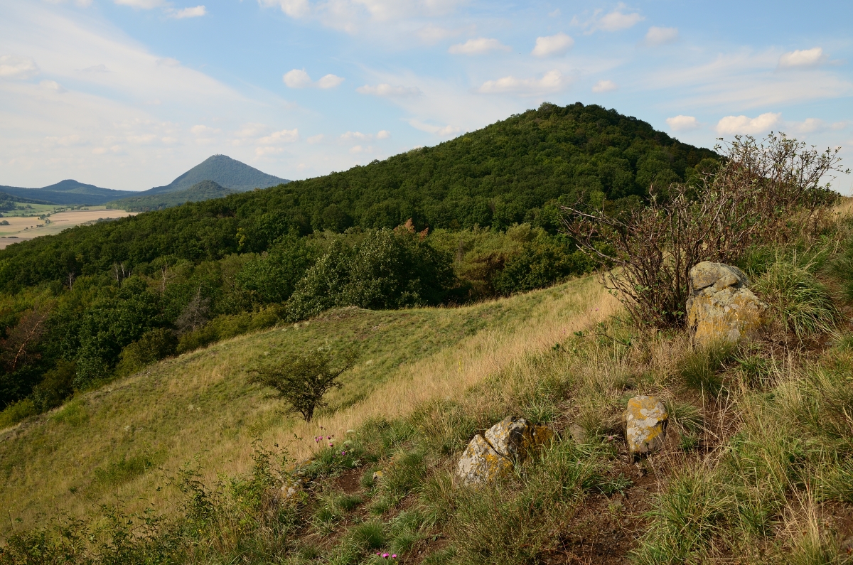 DSC_7239_00001n.jpg