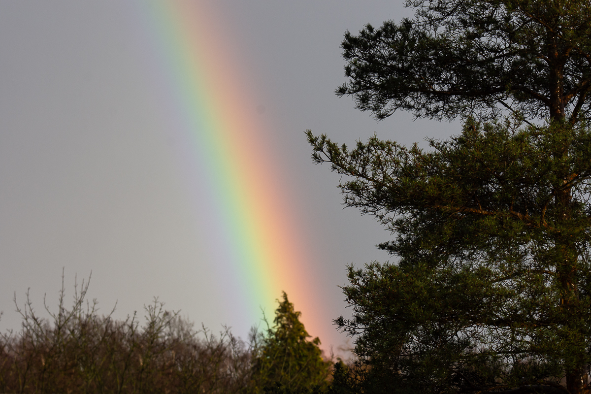 DSC_7307.JPG