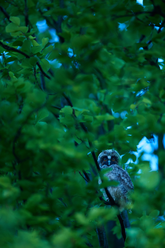 DSC_7326.jpg