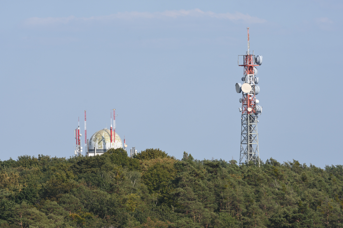 DSC_7335.JPG