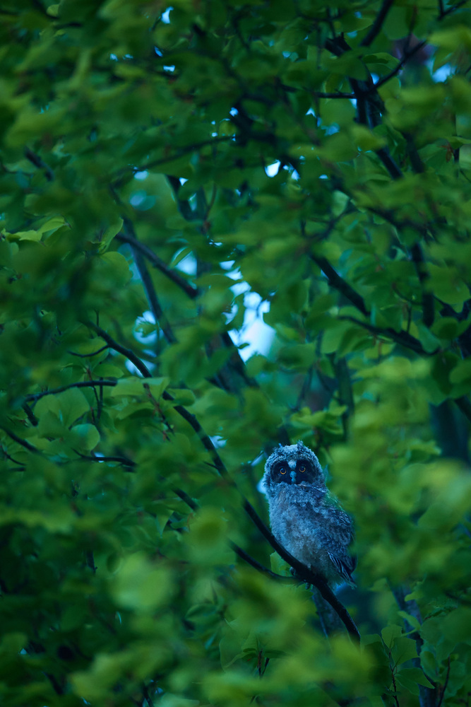 DSC_7348 1.jpg