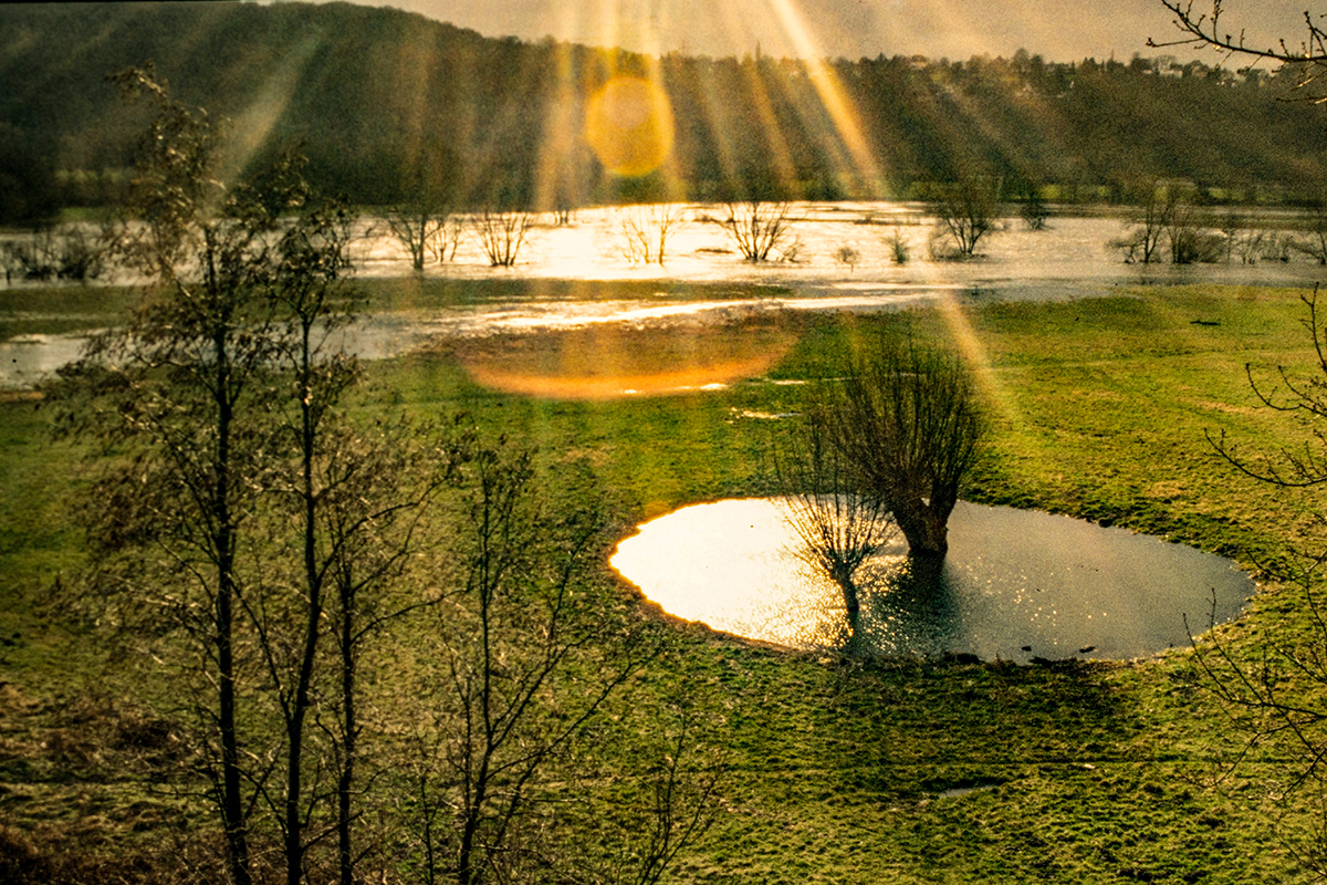 DSC_7387a.jpg