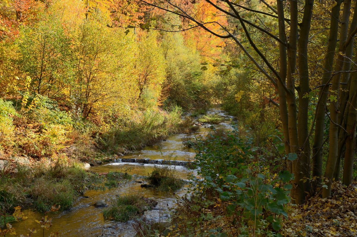 DSC_7472_00001n.jpg