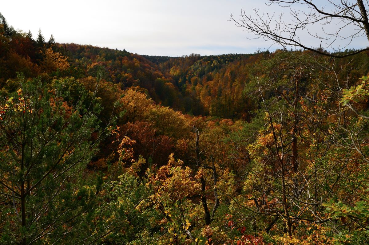 DSC_7500_00001n.jpg