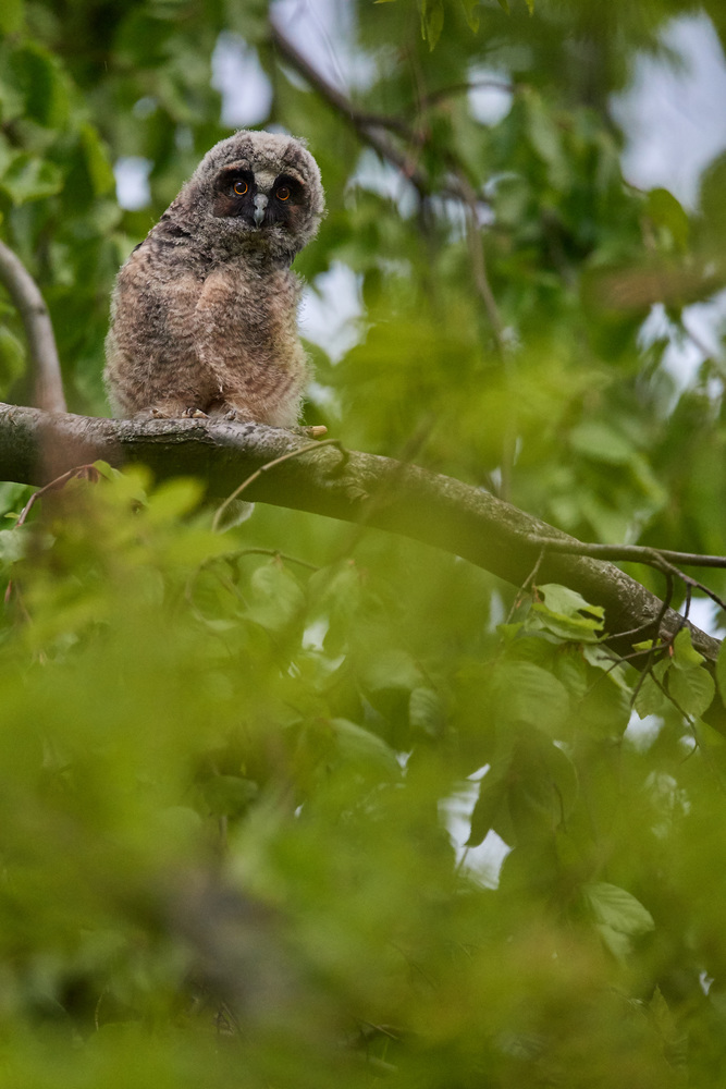 DSC_7539.jpg